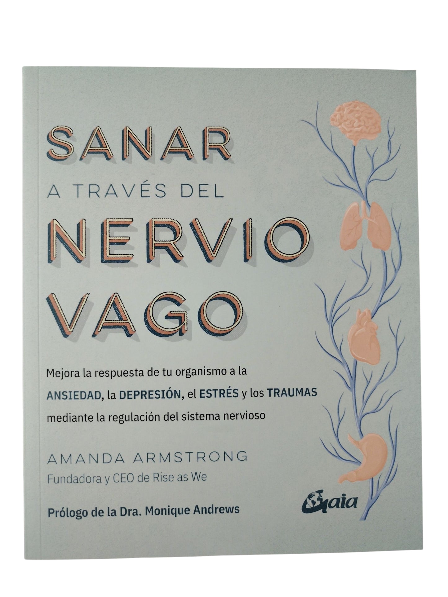 Sanar a través del nervio vago