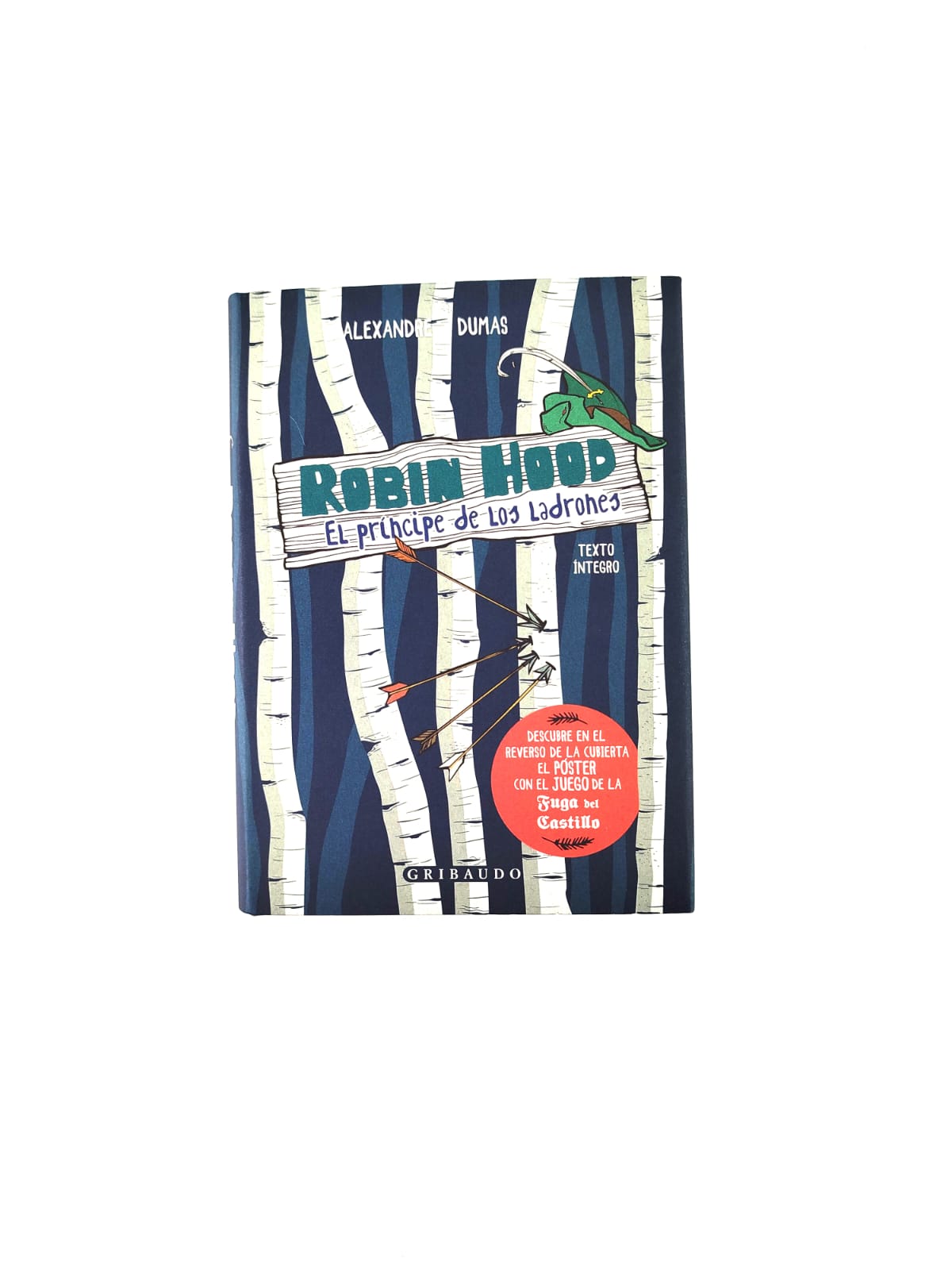 Robin Hood by Dumas Alexandre