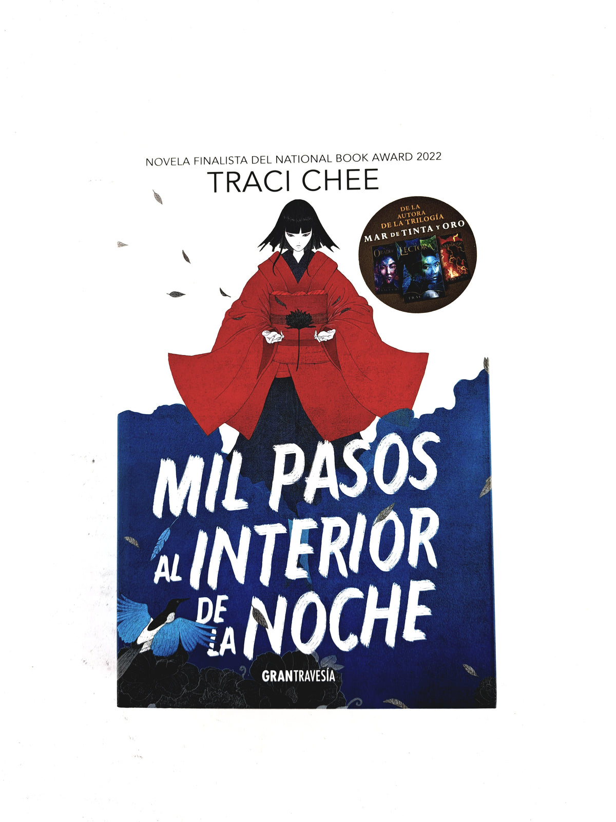 Mil pasos al interior de la noche by Traci Chee