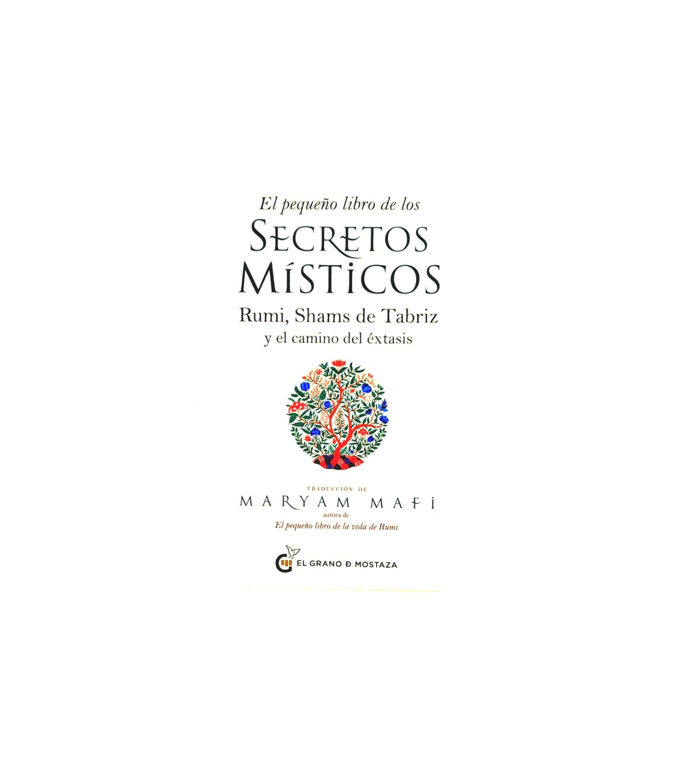 El pequeño libro de los secretos místicos