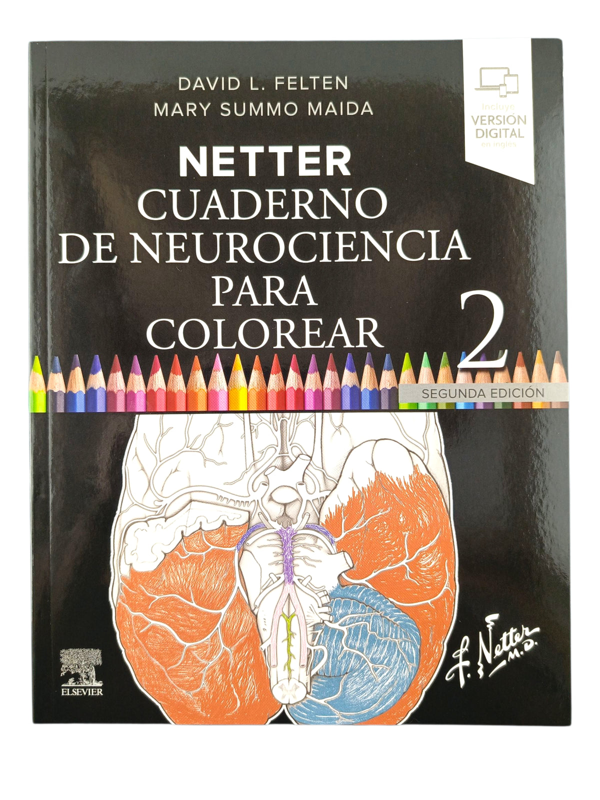 Netter. Cuaderno de neurociencia para colorear 2da ed by D. L. Felten
