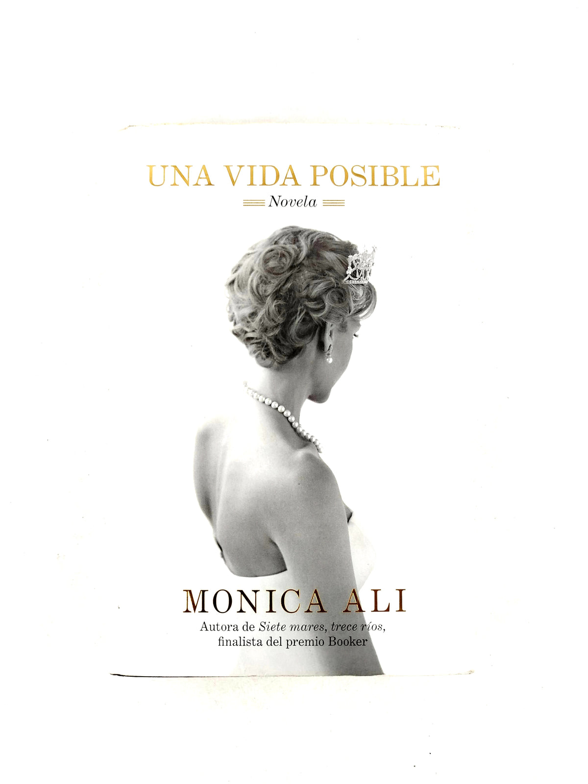 Una Vida Posible by Monica Ali