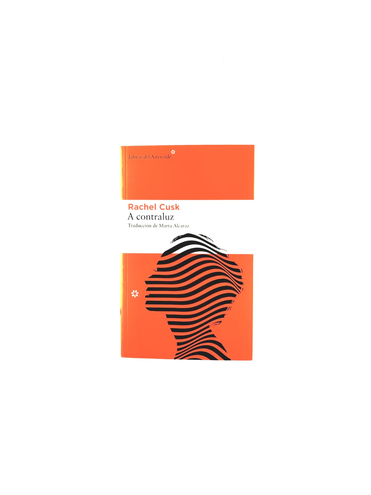 A contra luz by Rachel Cusk