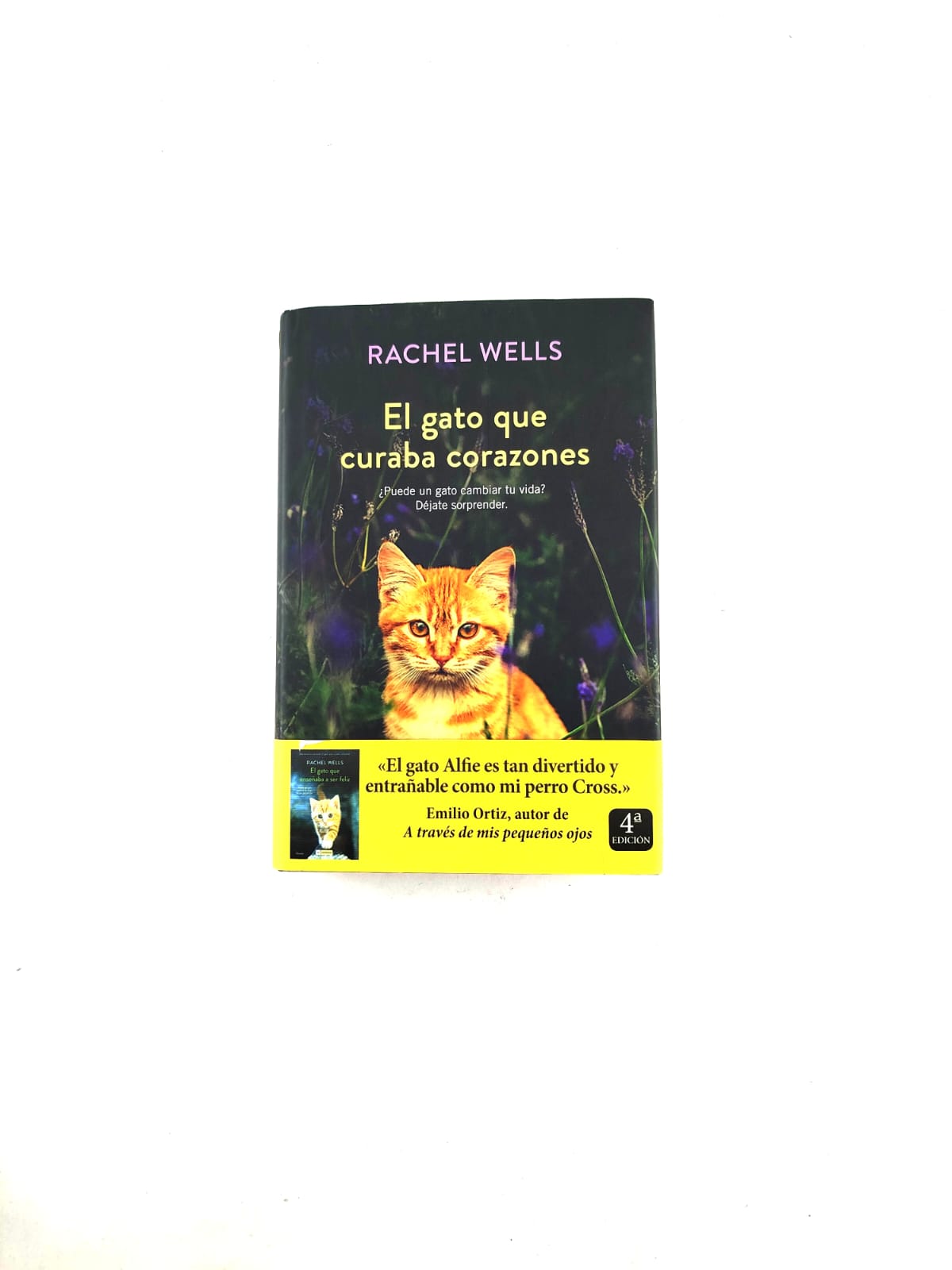 El Gato que curaba corazones by Wells Rachel