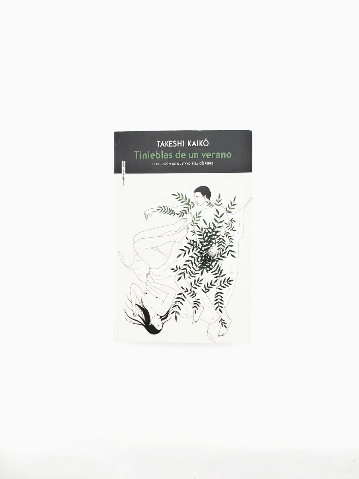 Tinieblas de un verano by Takeshi Kaiko