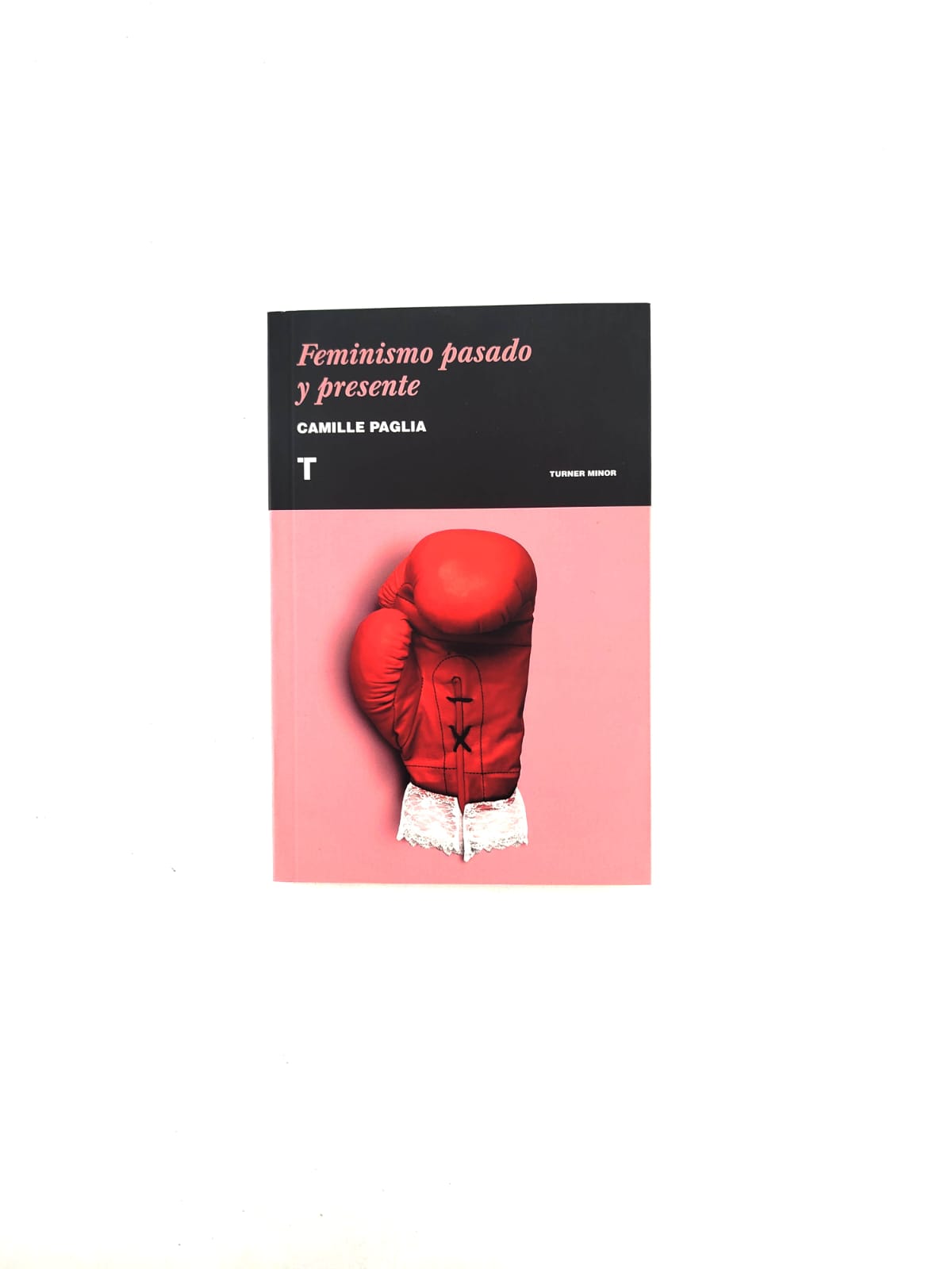 Feminismo pasado y presente by Camille Paglia