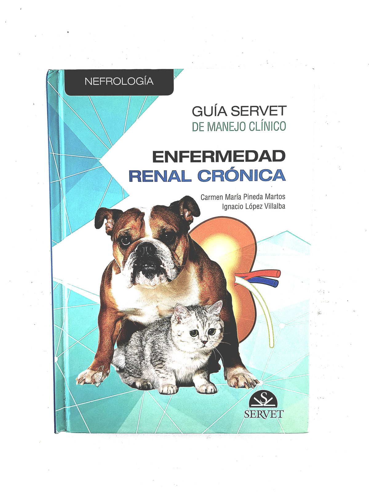 Nefrología guía servet de manejo clínico enfermedad renal crónica by Carmen María Pineda Martos Ignacio López Villalba