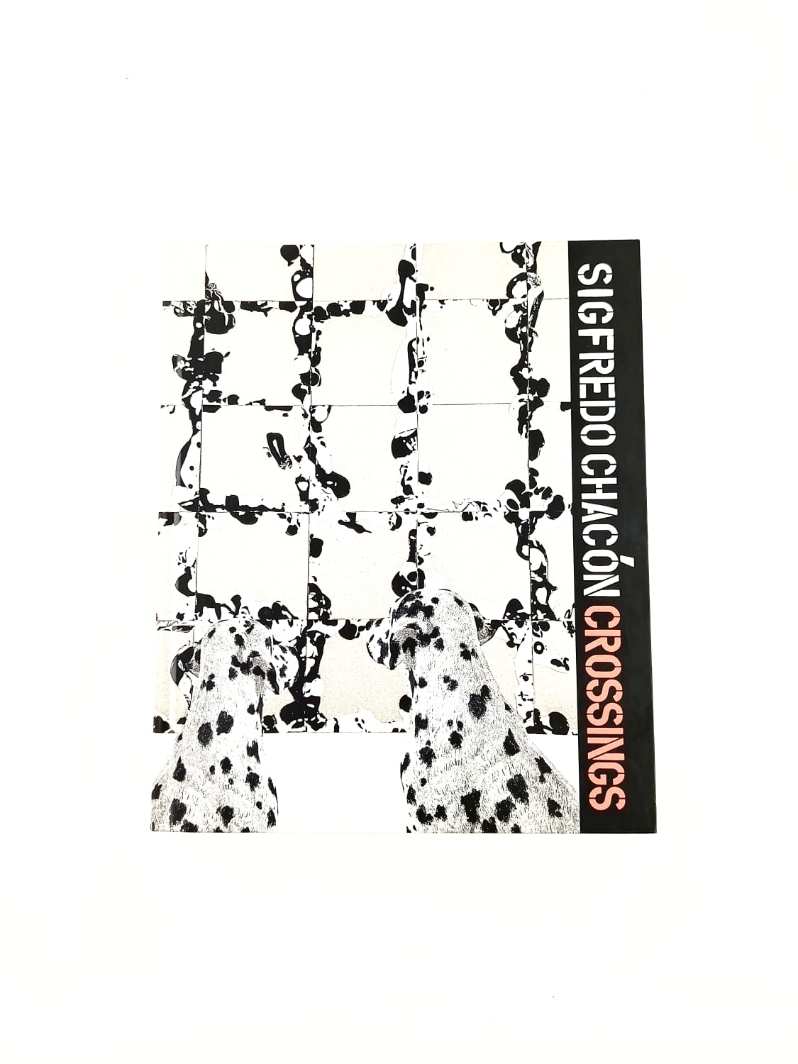 Sigfredo Chacón. Crossings