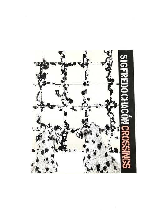 Sigfredo Chacón. Crossings