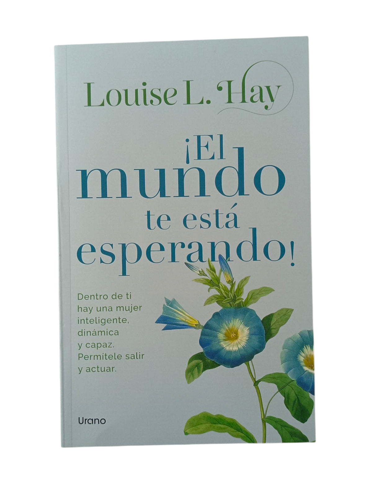 ¡El mundo te está esperando! by Louise L Hay