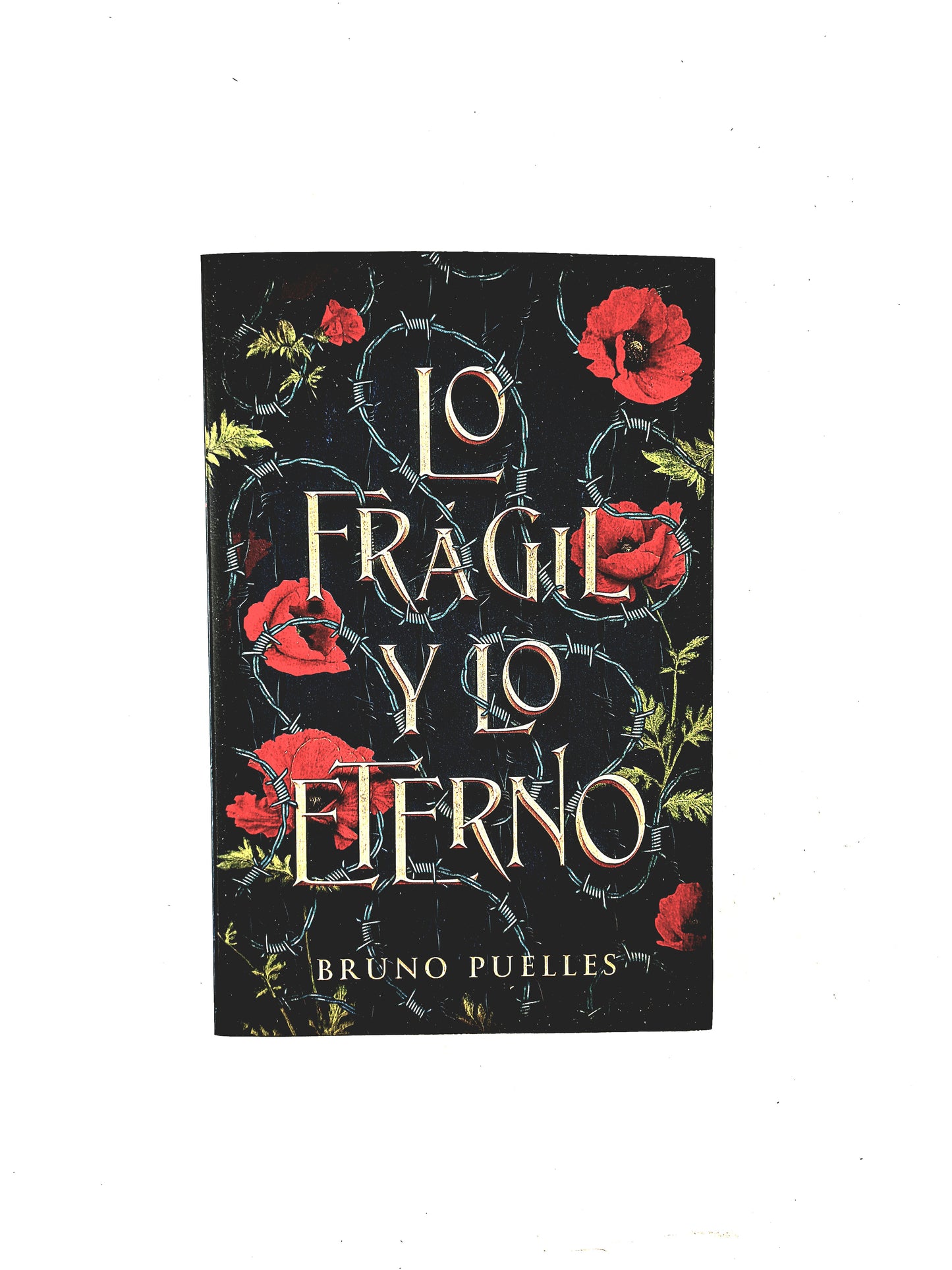 Lo Frágil y lo Eterno