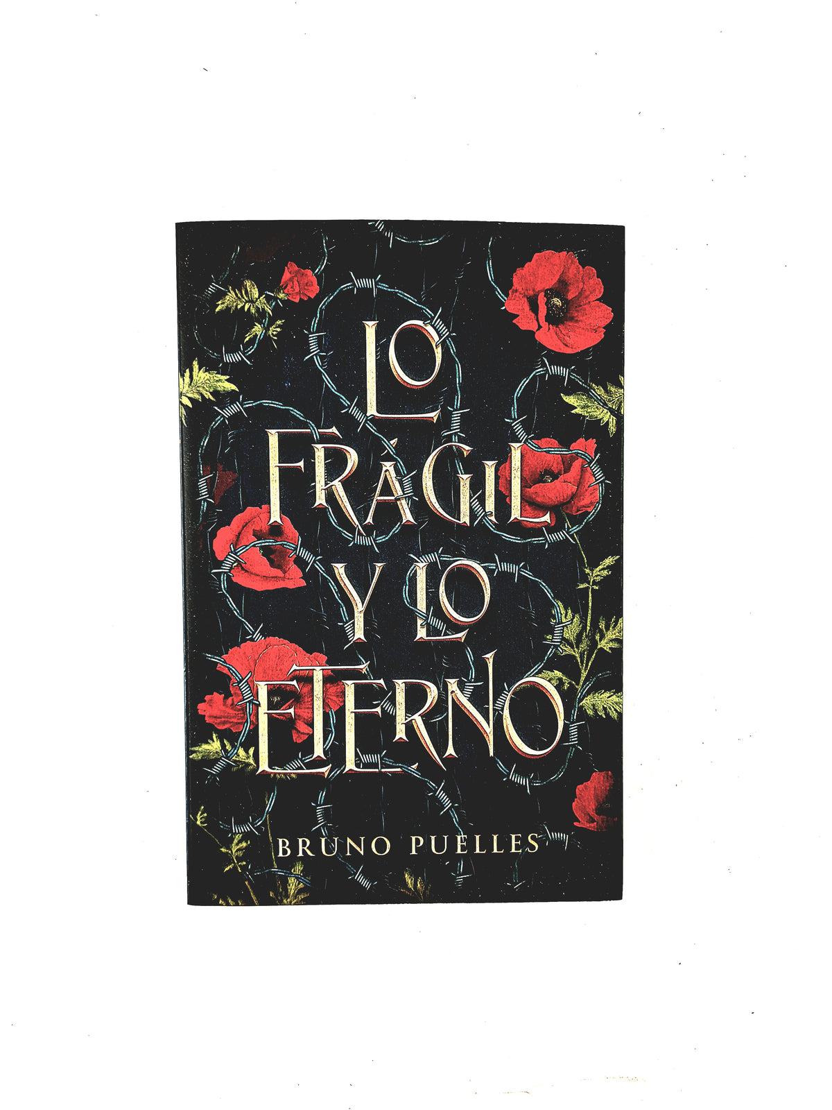Lo Frágil y lo Eterno by Bruno Puelles