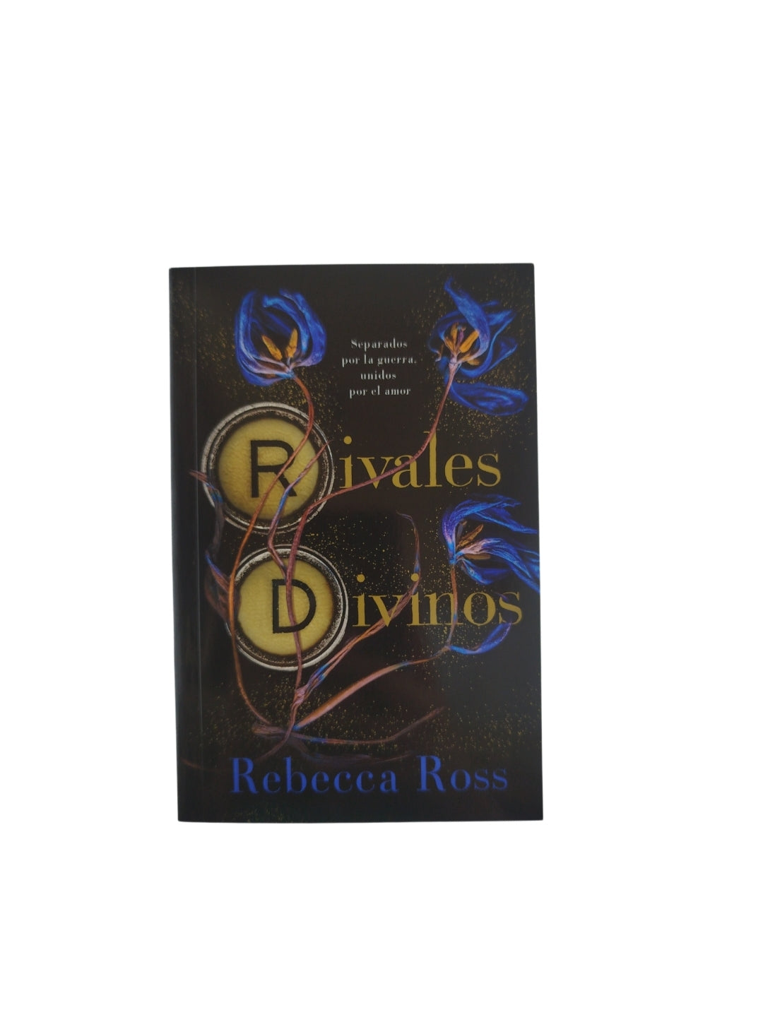 Rivales divinos by Rebeca ross