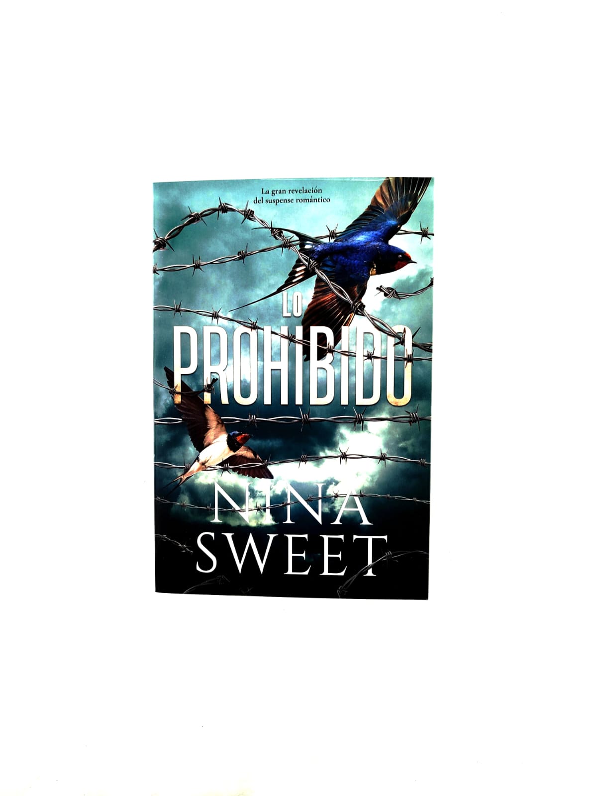 Lo prohibido by Nina Sweet