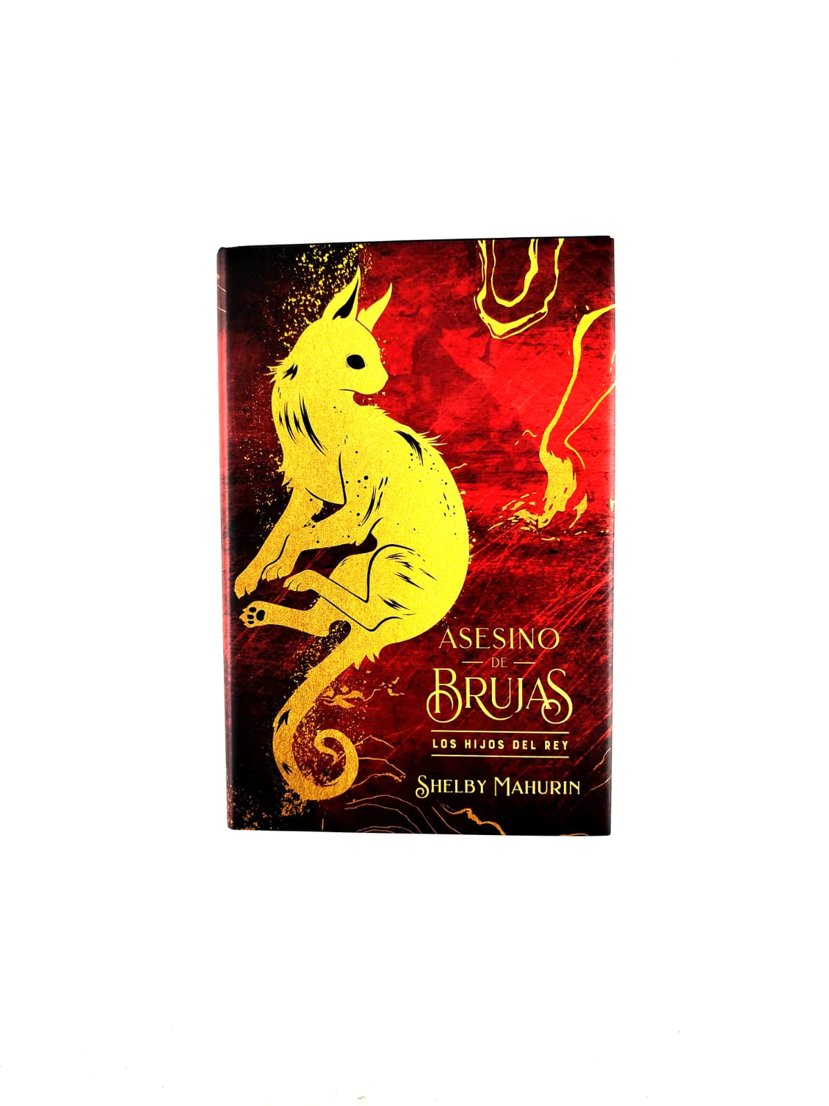 Asesino de brujas: Los hijos del rey by Shelby Mahurin