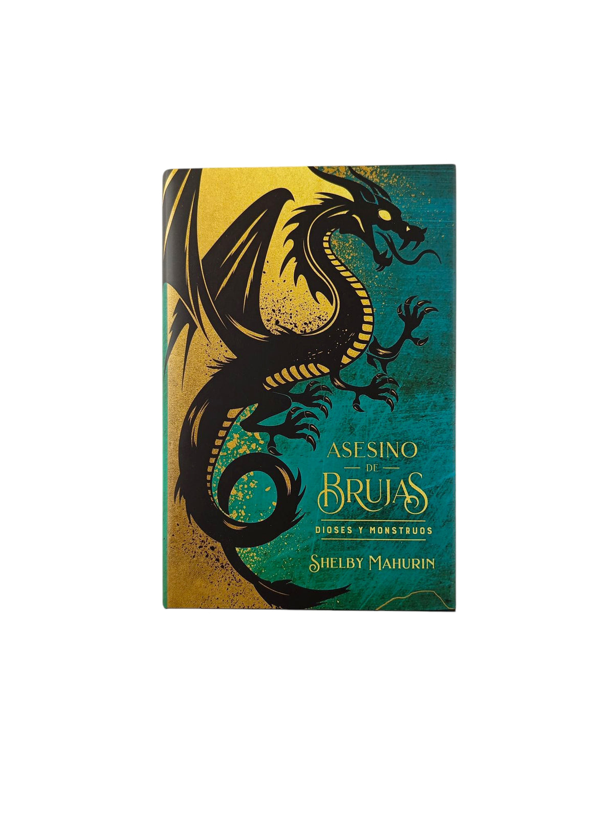 Asesino de brujas: dioses y monstruos by Shelby Mahurin
