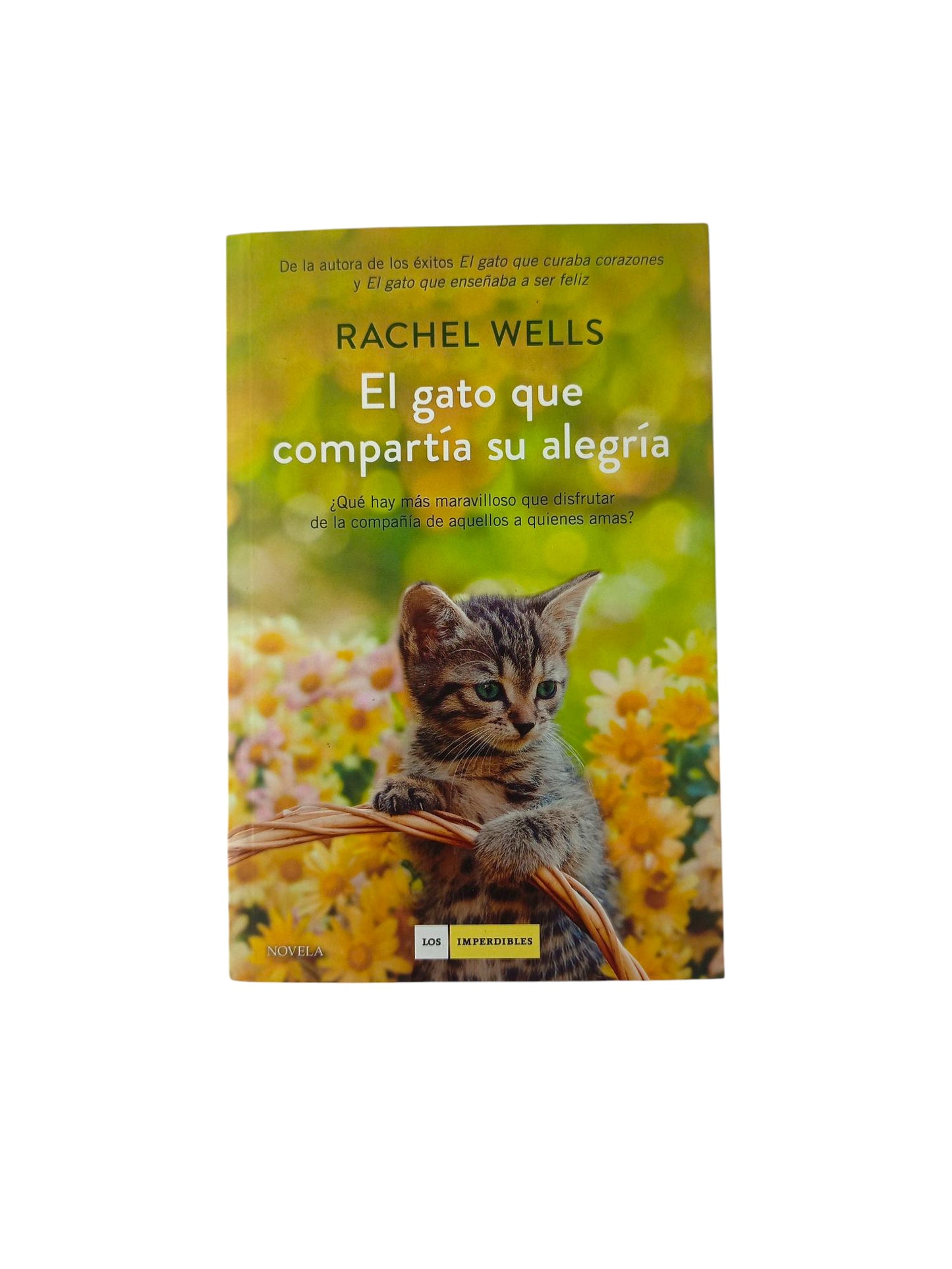 El gato que compartía su alegría