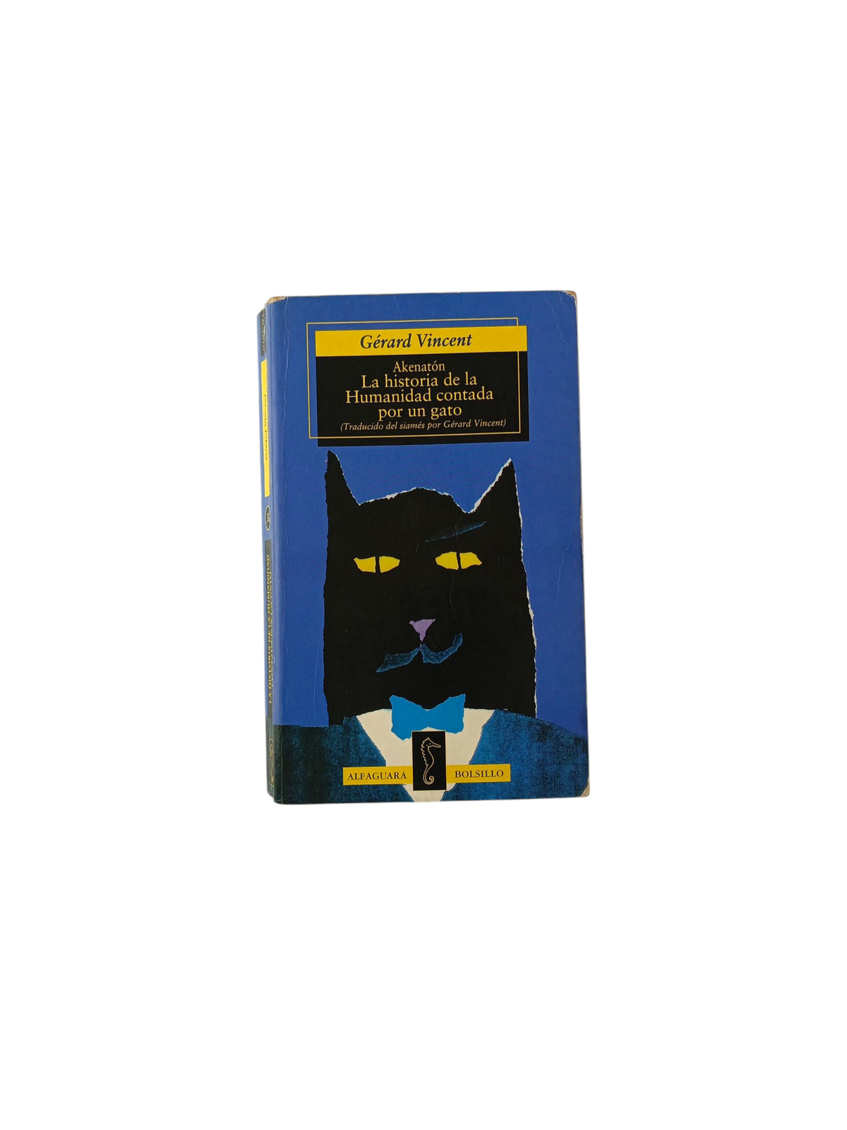 La historia de la humanidad contada por un gato by Vincent Gérard