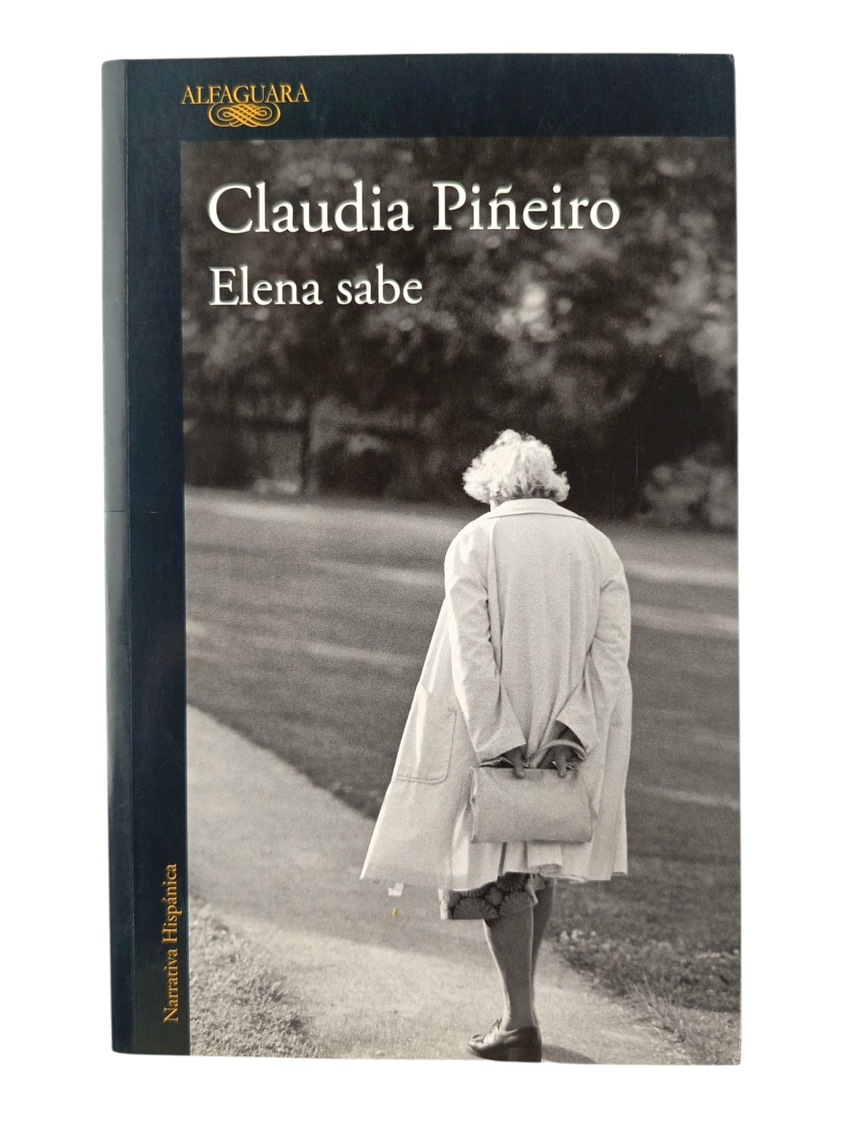 Elena sabe by Claudia Piñeiro