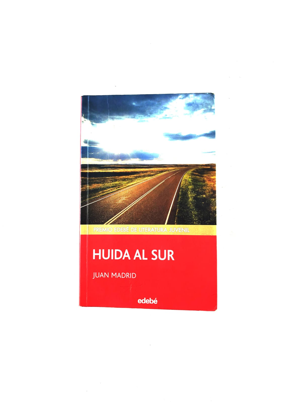 Huida al sur by Juan Madrid