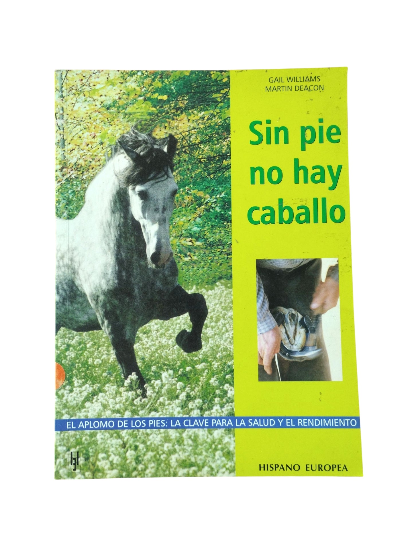 Sin pie no hay caballo