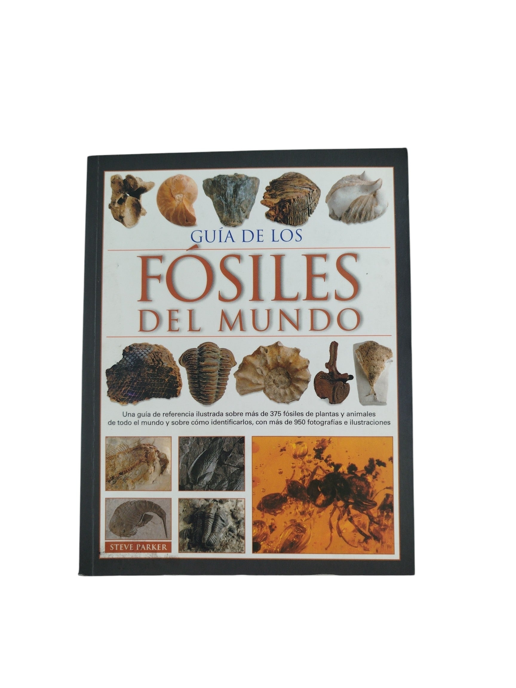 Guía de los fósiles del mundo by Steve parker