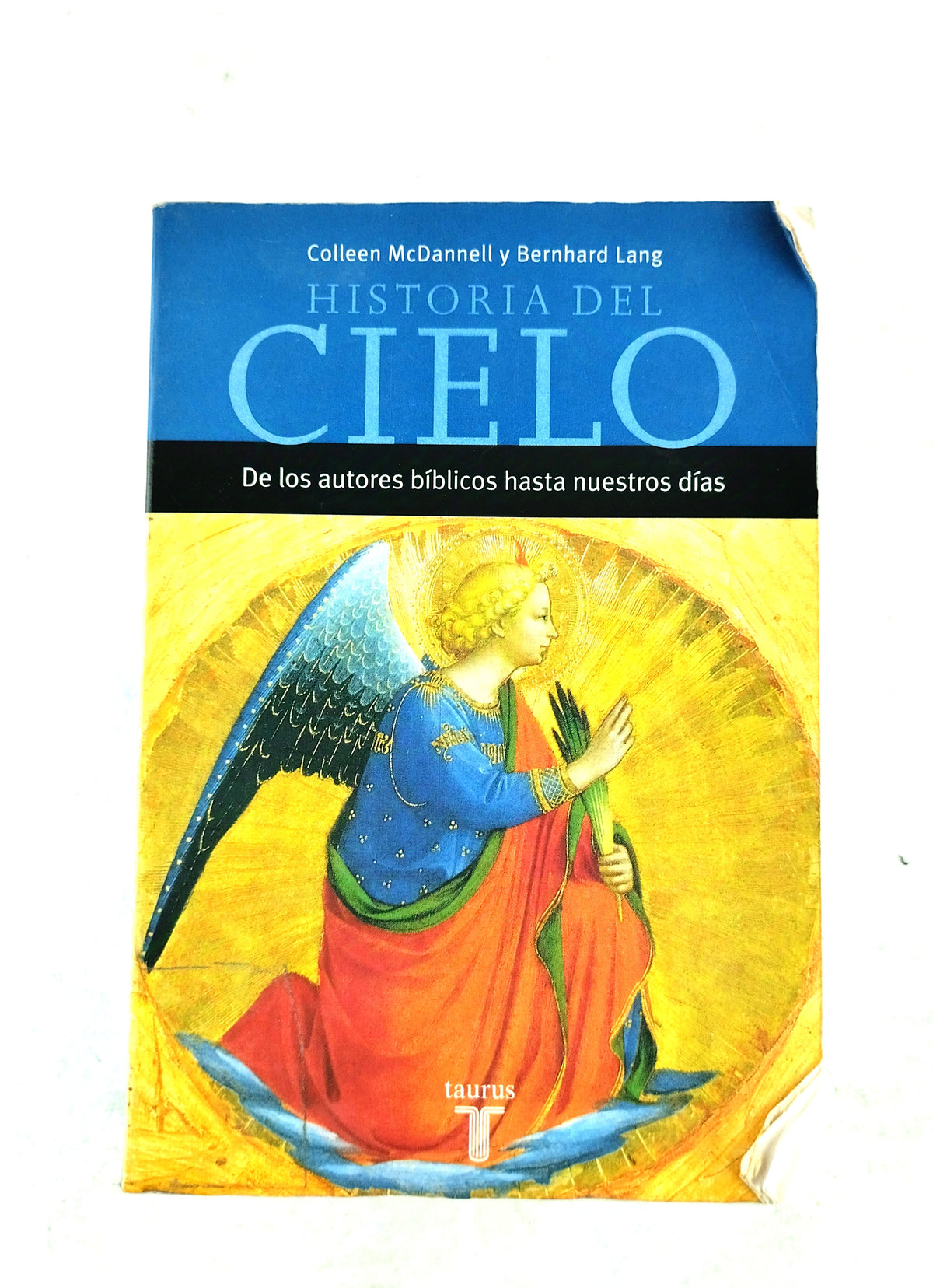 Historia del cielo by Collen Mcdanell Bernhard Lang