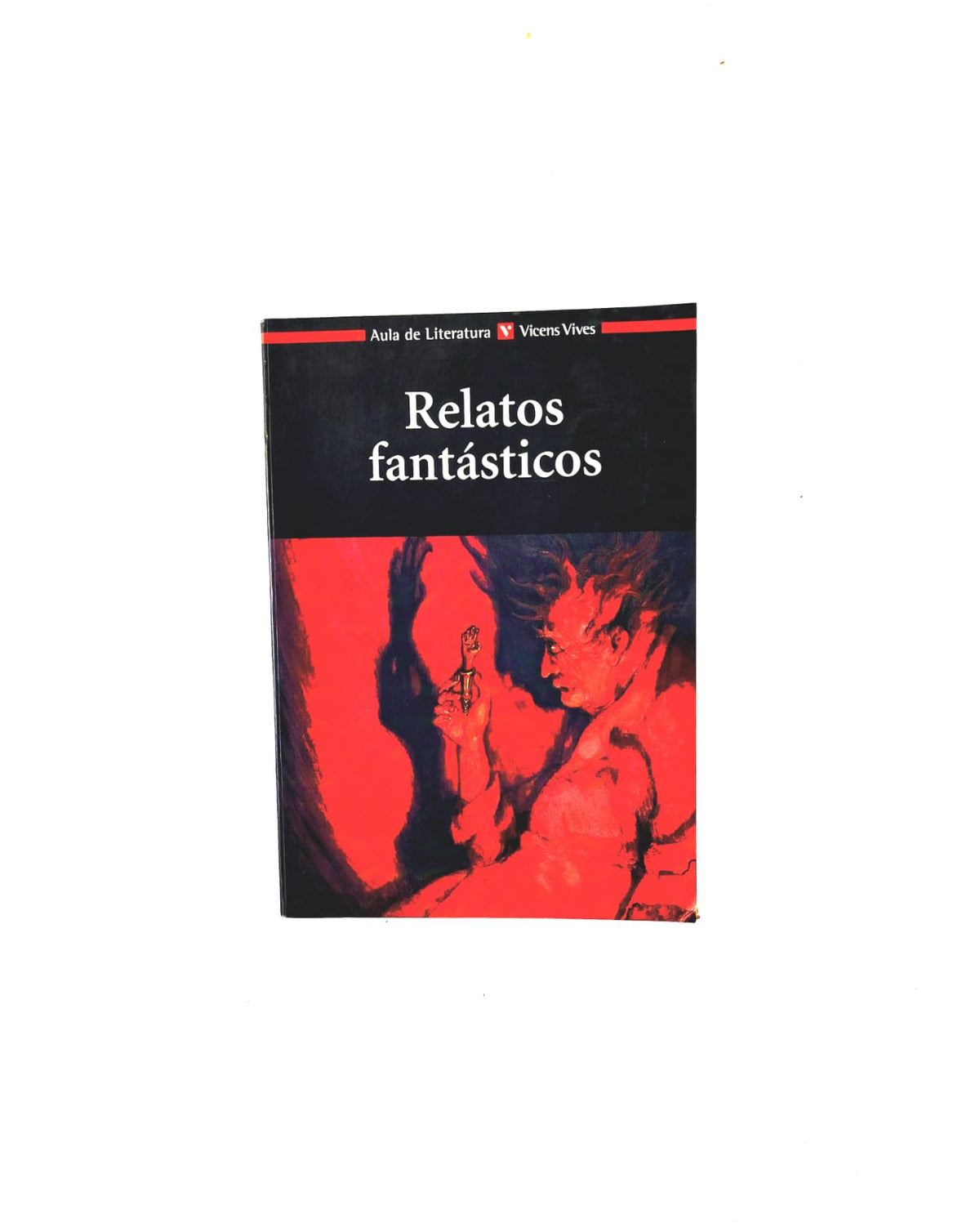 Relatos fantásticos by Neus Casas, Silvano Andrés de la Morena, Carmen Muñoz, Pedro Palao