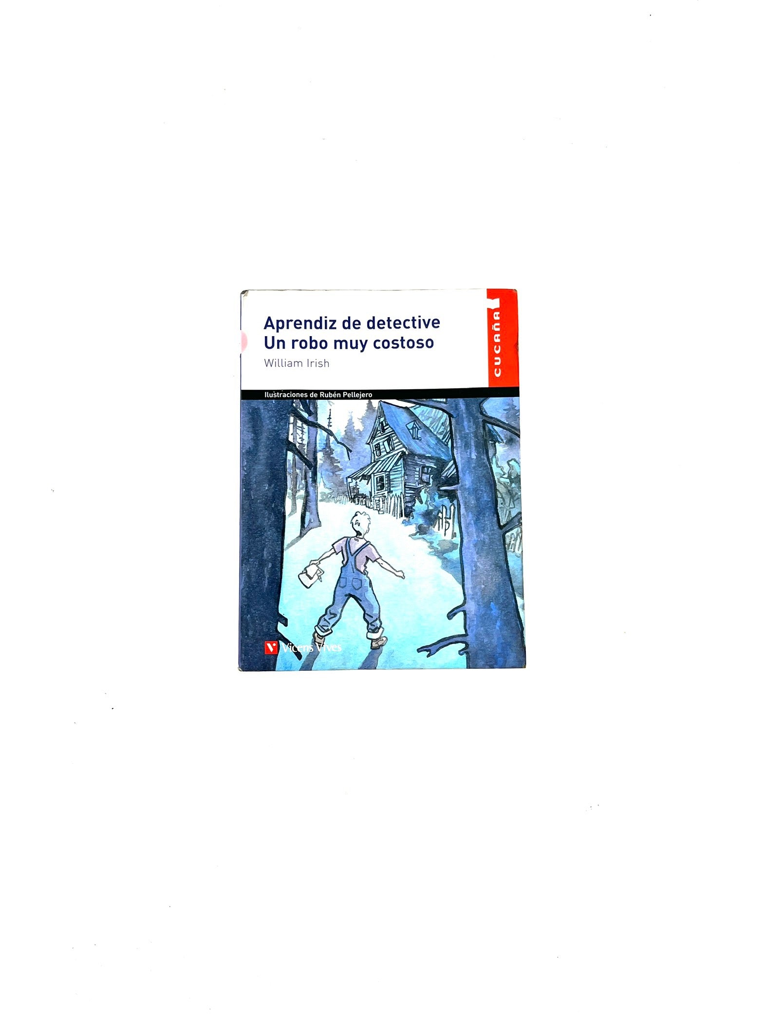 Aprendiz de detective un robo muy costoso by William Irish