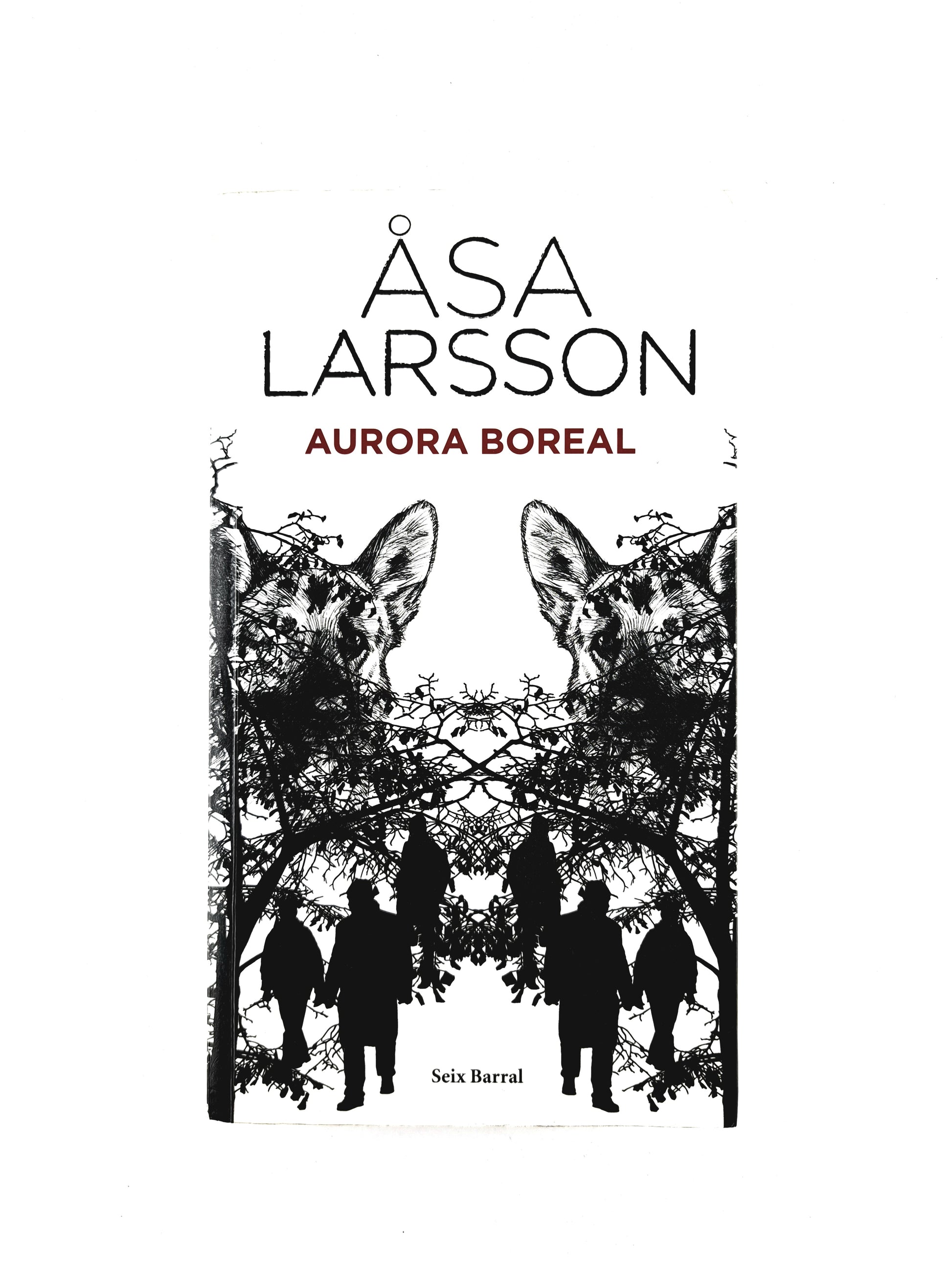 Aurora boreal by Asa Larsson