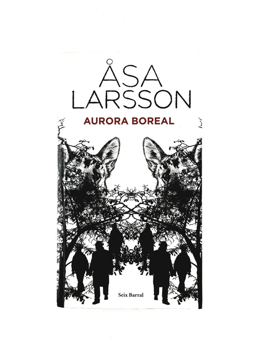 Aurora boreal by Asa Larsson