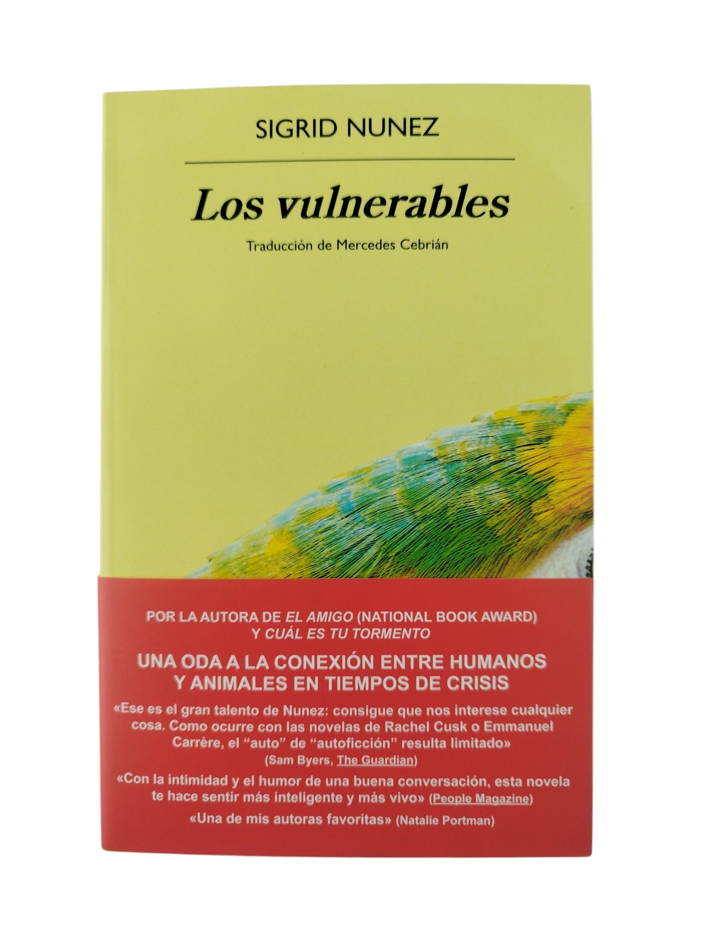 Los vulnerables