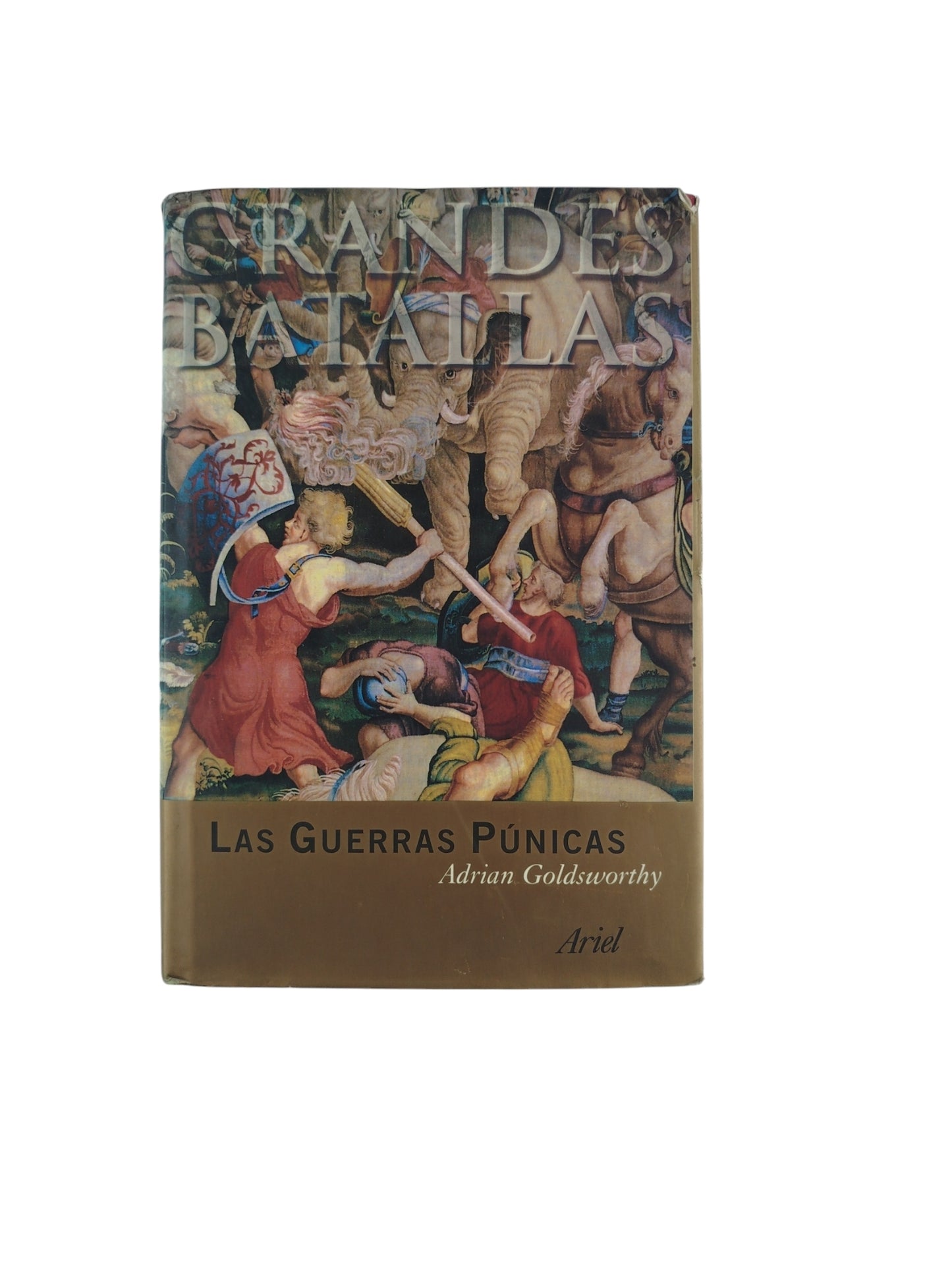 Las Guerras Púnicas