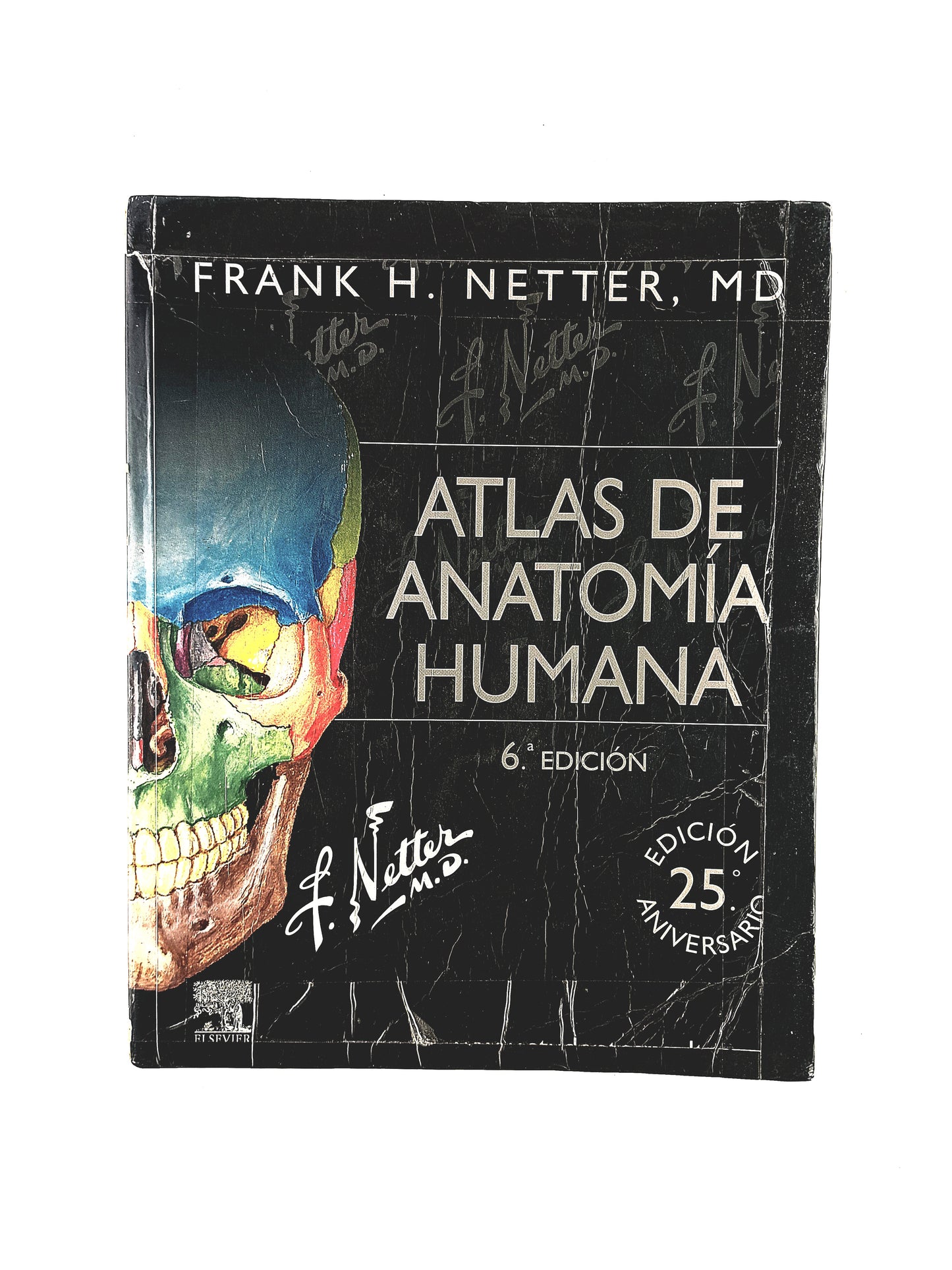 Atlas de anatomía sexta edición by Frank H Netter