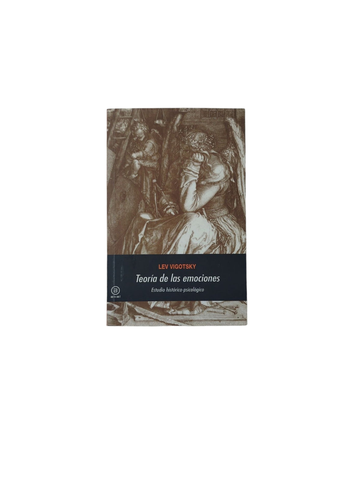 Teoría de las emociones by Lev Vigotsky
