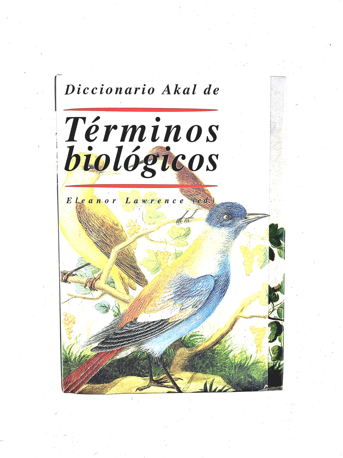 Diccionario akal de términos biológicos by Eleonor Lawrence (ed)