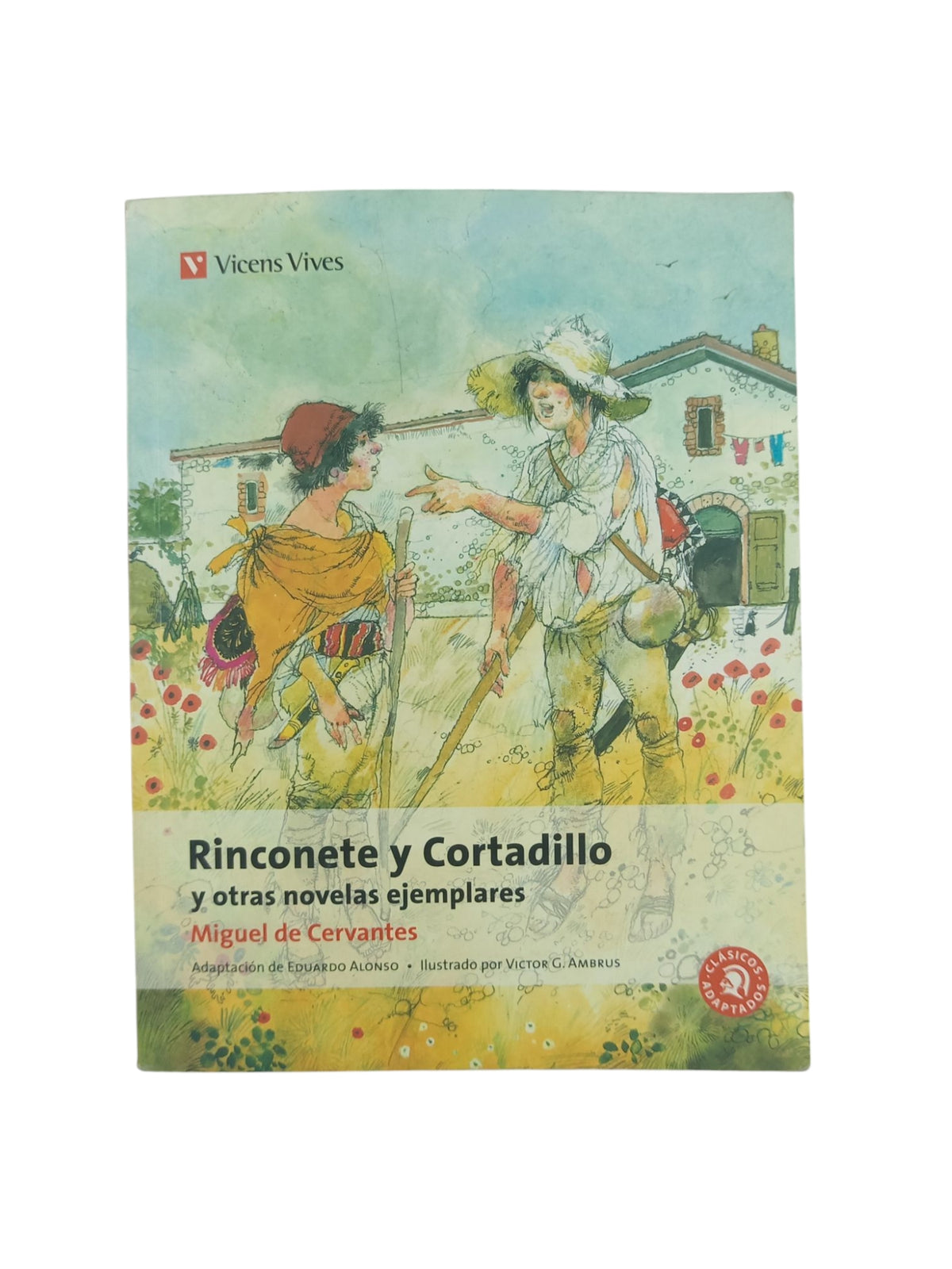 Rinconete y cortadillo y otras novelas ejemplares by Miguel de Cervantes