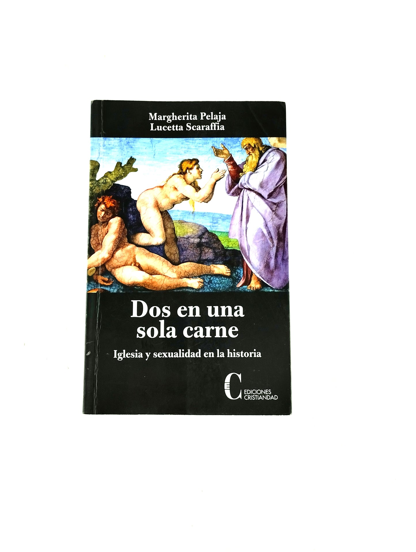 Dos en una sola carne iglesia y sexualidad en la historia