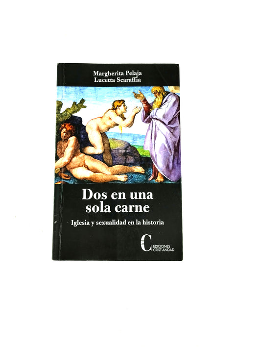 Dos en una sola carne iglesia y sexualidad en la historia