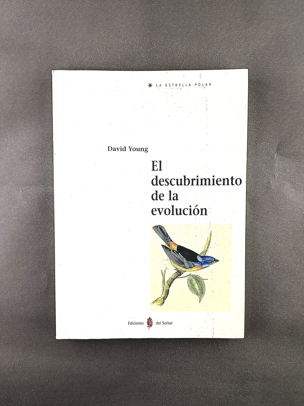 El descubriemiento de la evolución by David Young