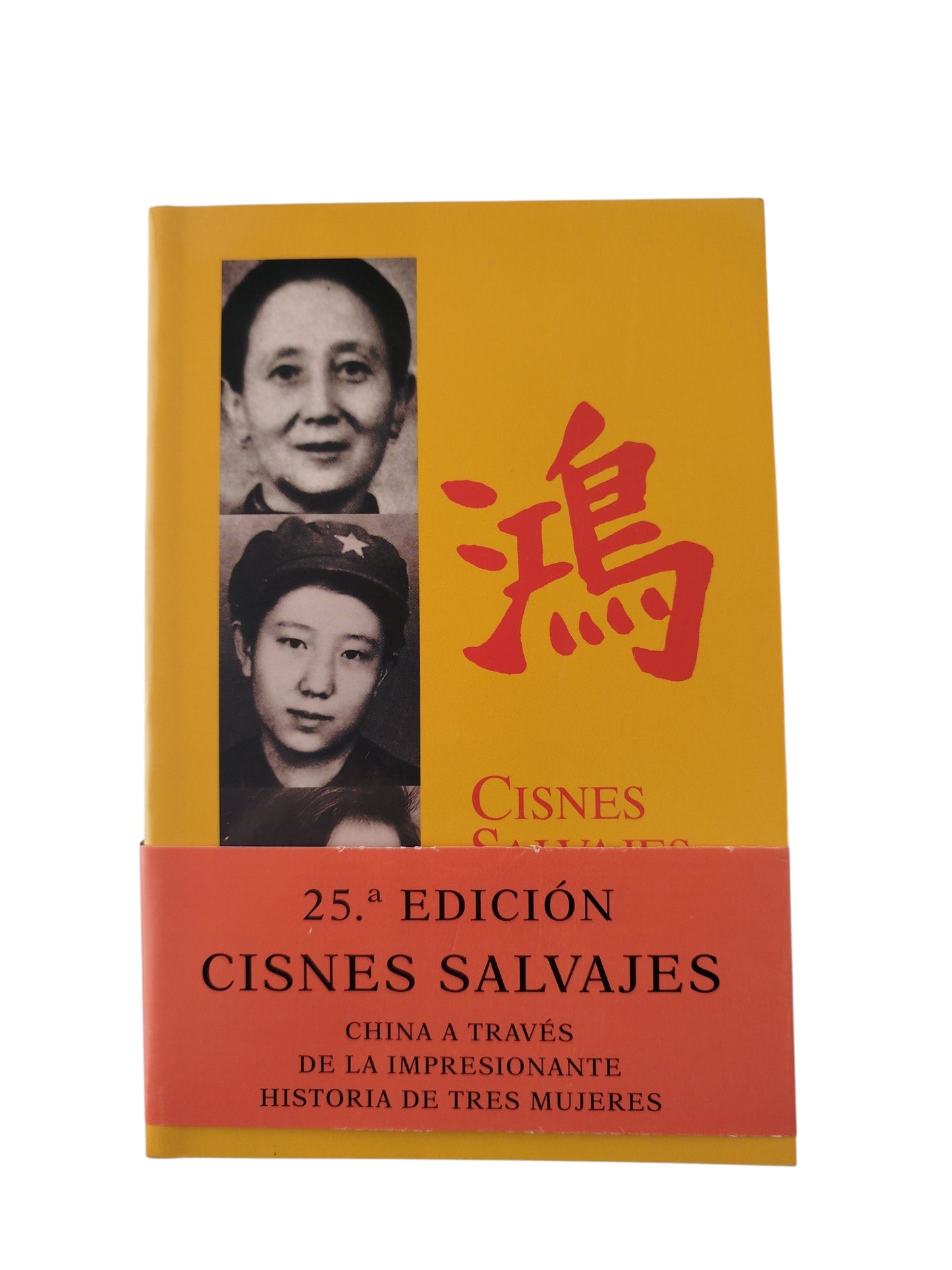 Cisnes Salvajes by Rauda Jamis