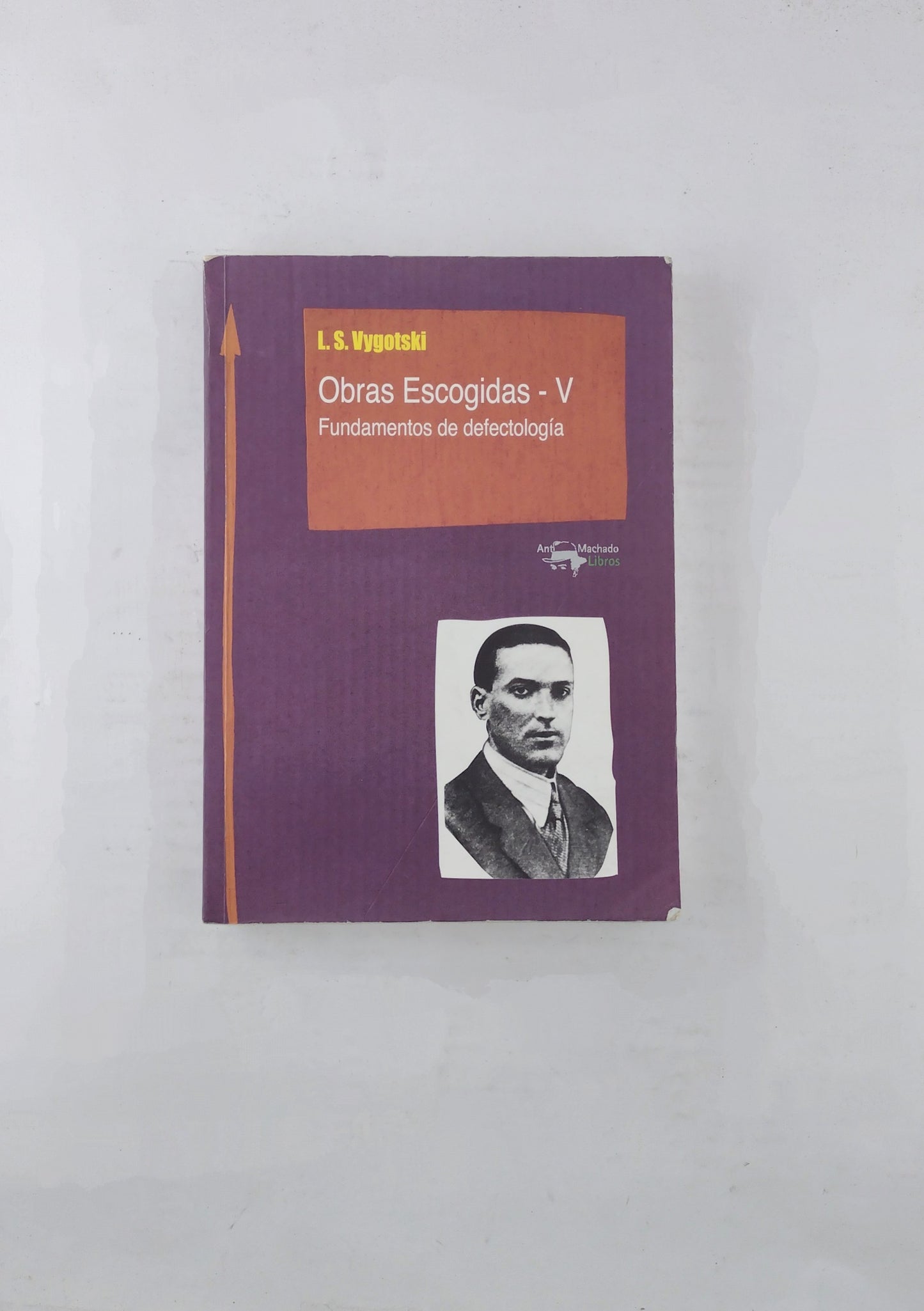Obras escogidas V  Fundamentos de defectología