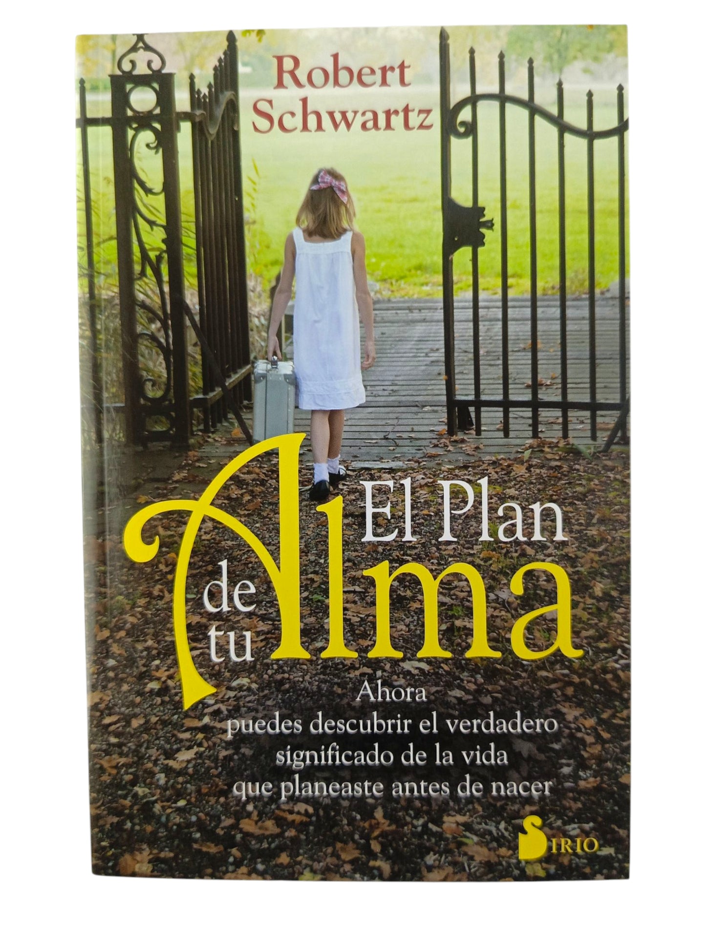 El plan de tu alma