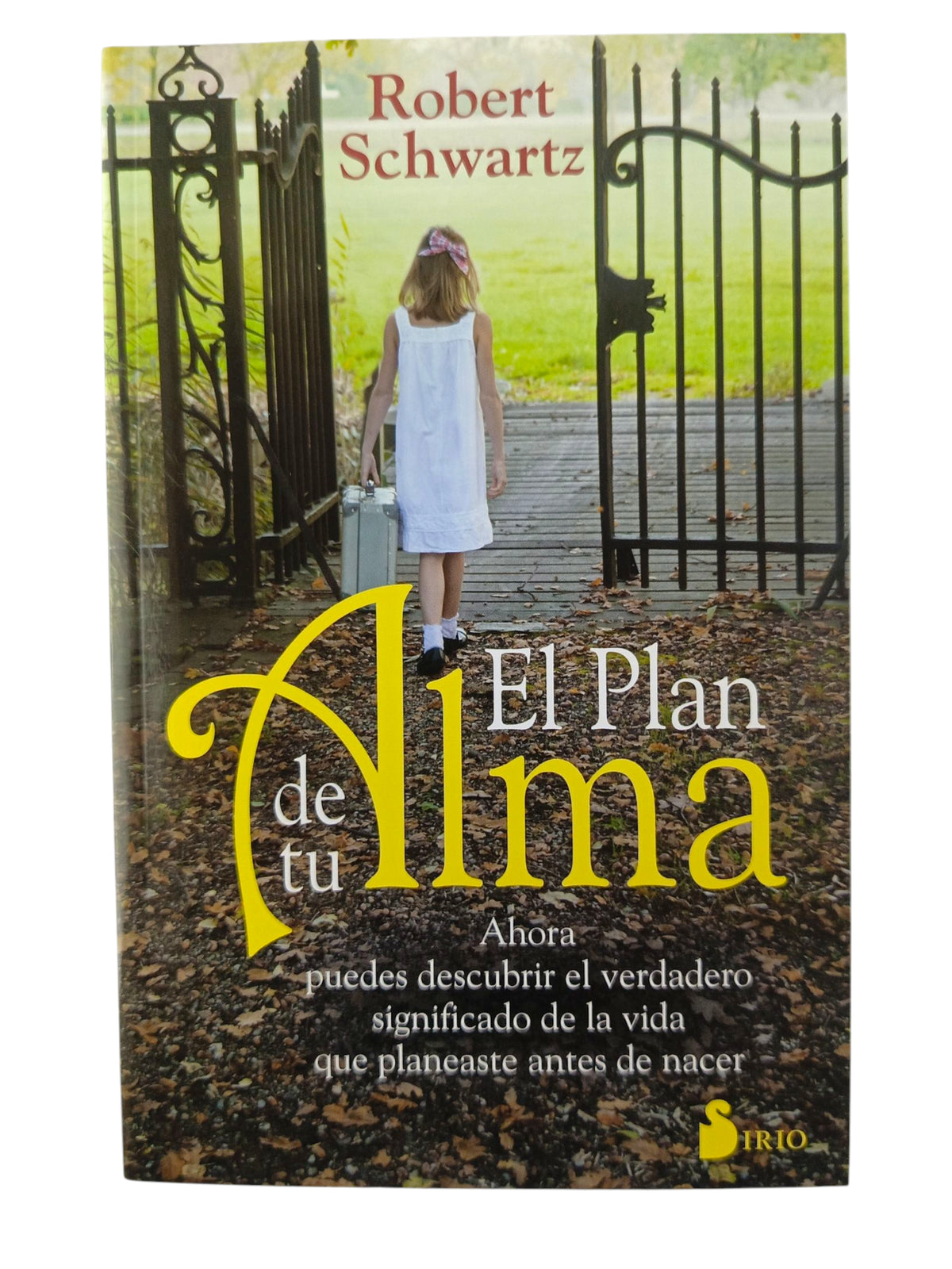 El plan de tu alma by Robert Schwartz