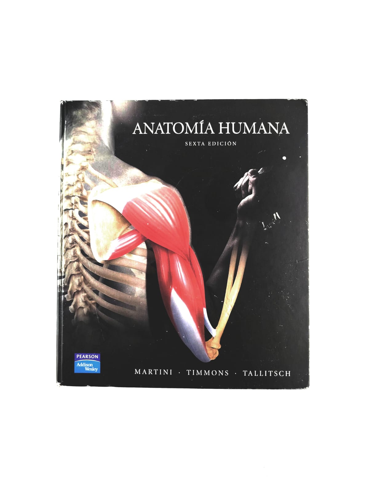 Anatomía humana sexta edición by Martini, Timmons Tallitsch