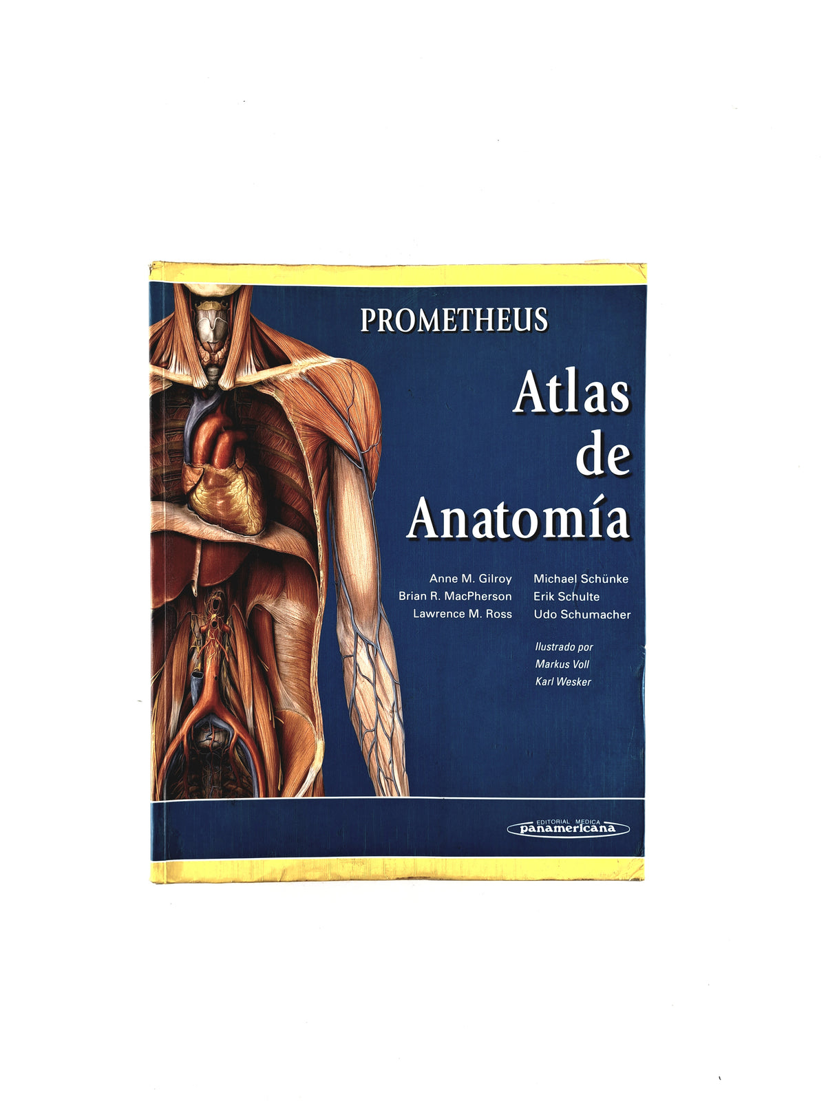 Prometheus atlas de anatomía by Anne M Gilrov Brian R MacPherson Lawrence M ross