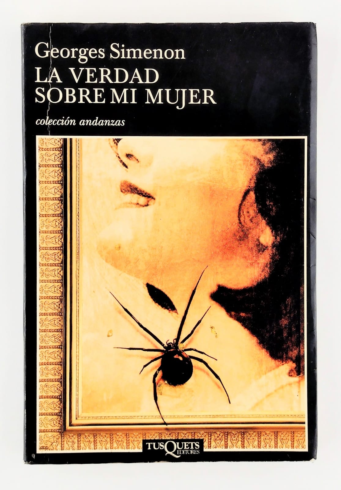 La verdad sobre mi mujer by Georges Simenon
