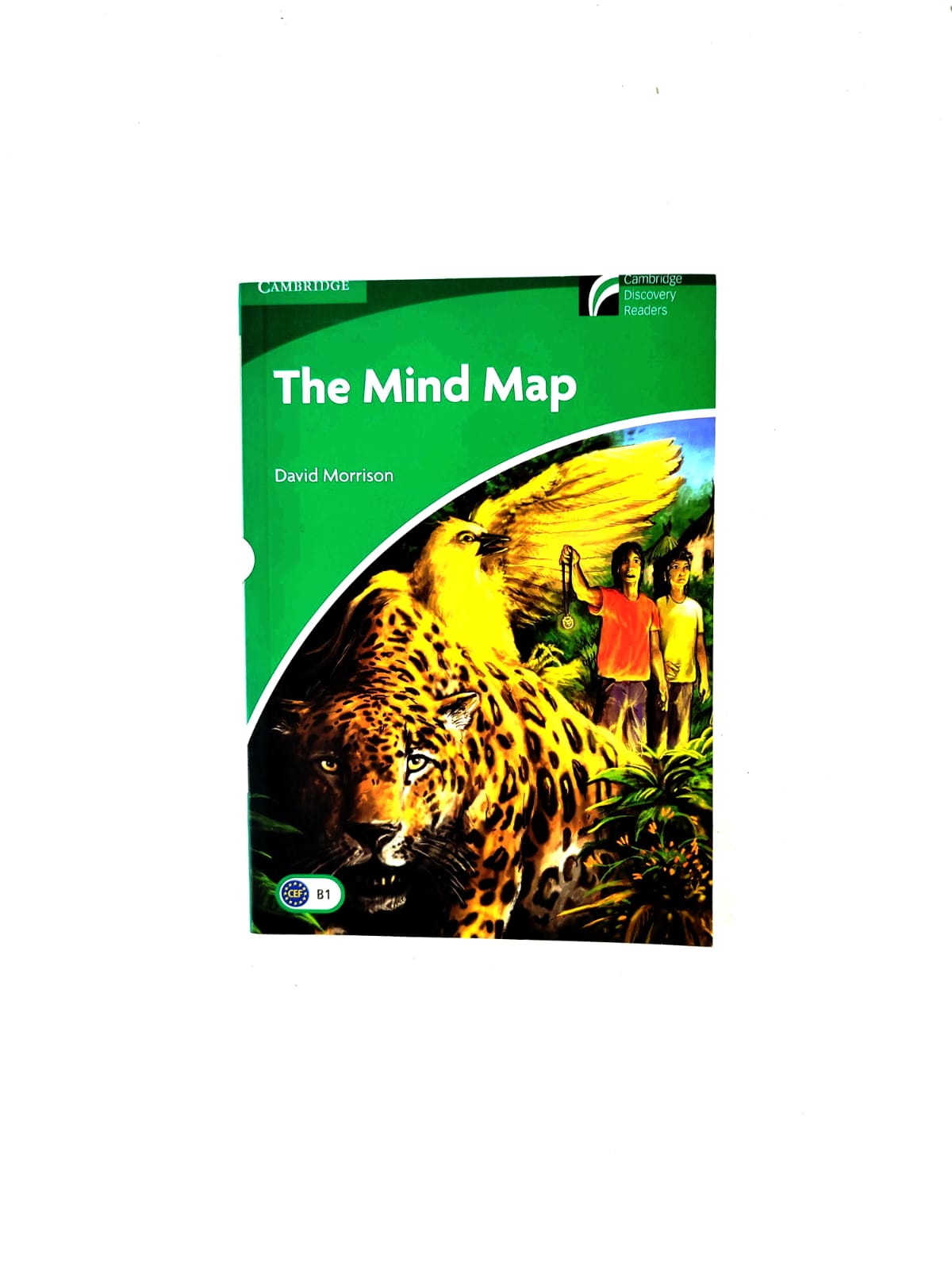 The mind map by David Morrison
