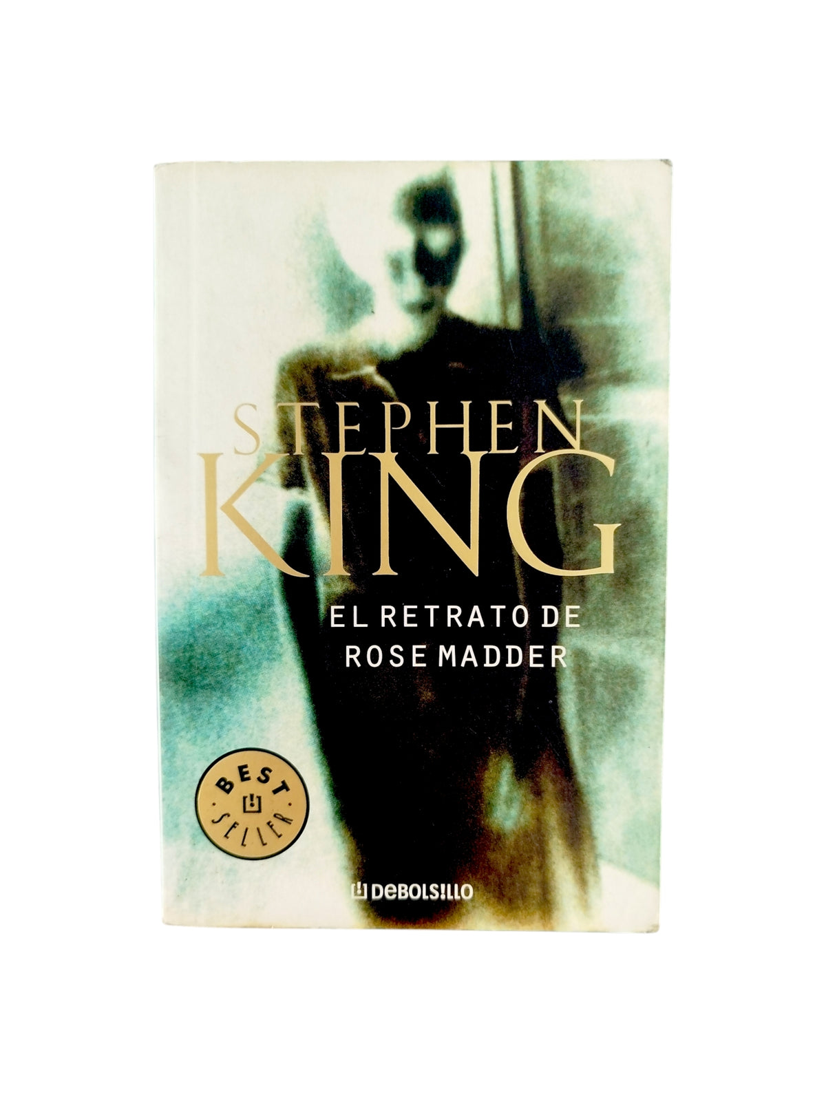 El retrato de Rose Madder by Stephen King