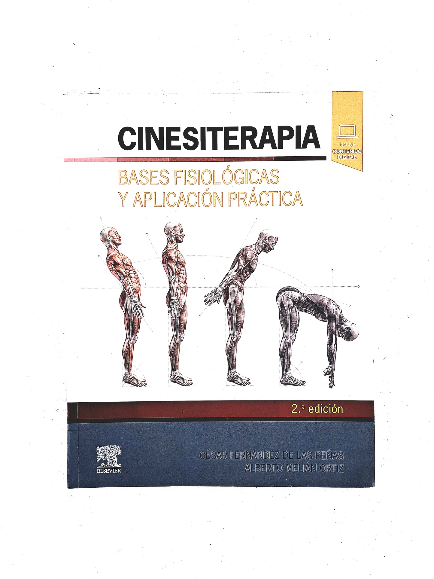 Cinesiterapia bases fisiológicas y aplicación práctica segunda edición